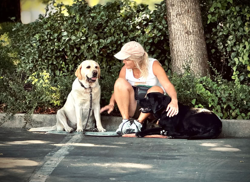 woman and dog, dog trainer in parking lot