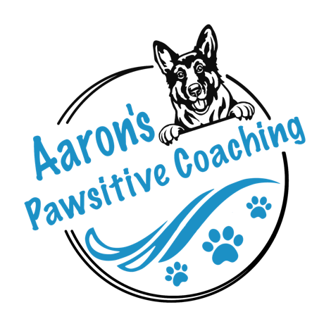 Logo for Aaron's Pawsitive Coaching, dog training, paw prints, german shepherd dog, dog, pet, Dog Training Roseville, pet first aid, pet cpr, positive reinforcement, private lessons