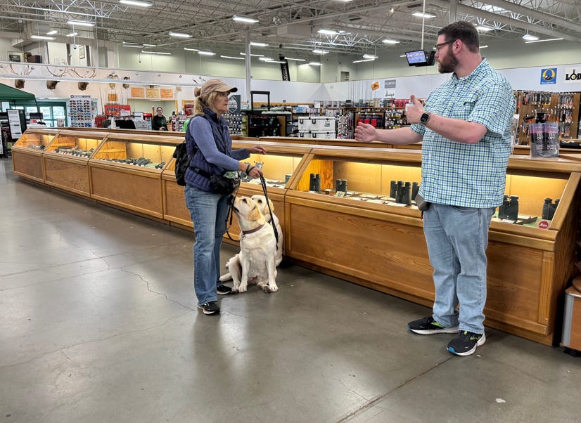woman and two yellow labs with dog trainer in store learning obediance training
