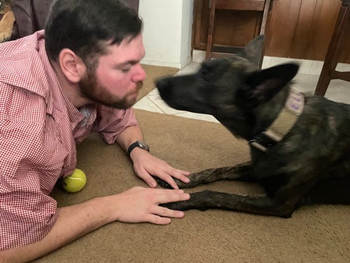 Dutch Shepherd and owner on the floor