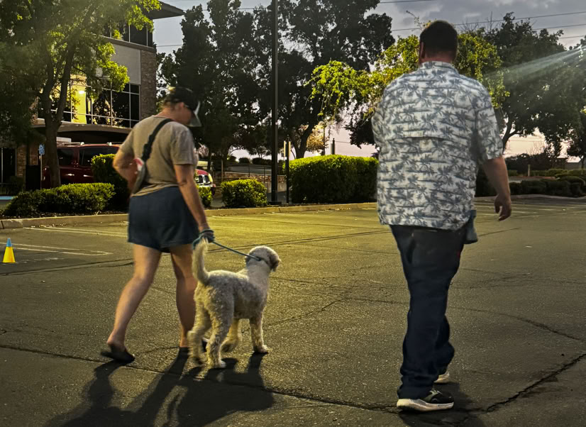 woman and dog, dog trainer in parking lot