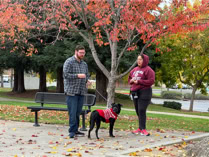 dog, dog training, leash, dog trainer in plaid shirt with black pit bull mix in a red sweater. stnading near a park bench in the fall at a park