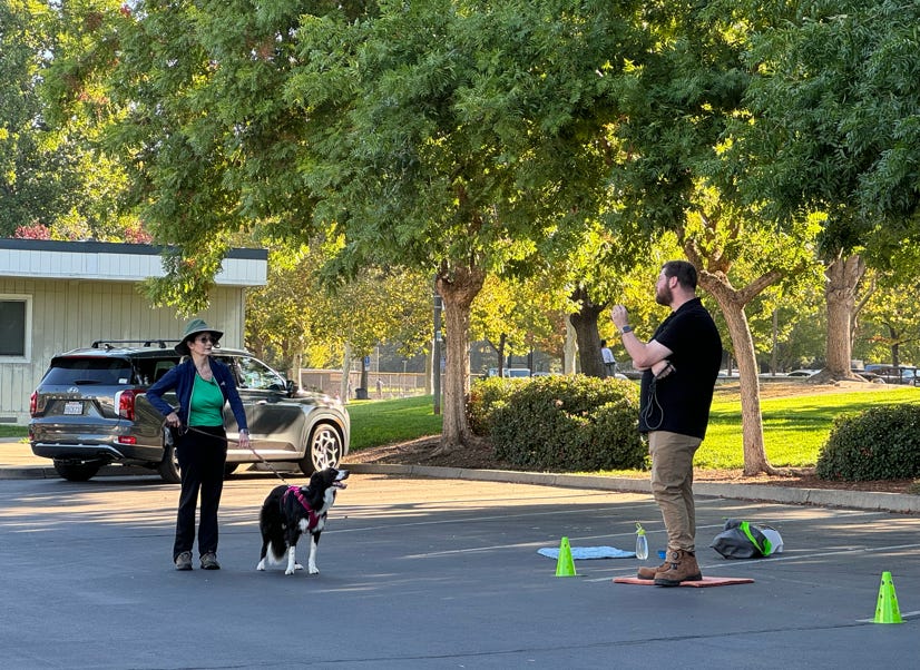 woman and dog, dog trainer in parking lot