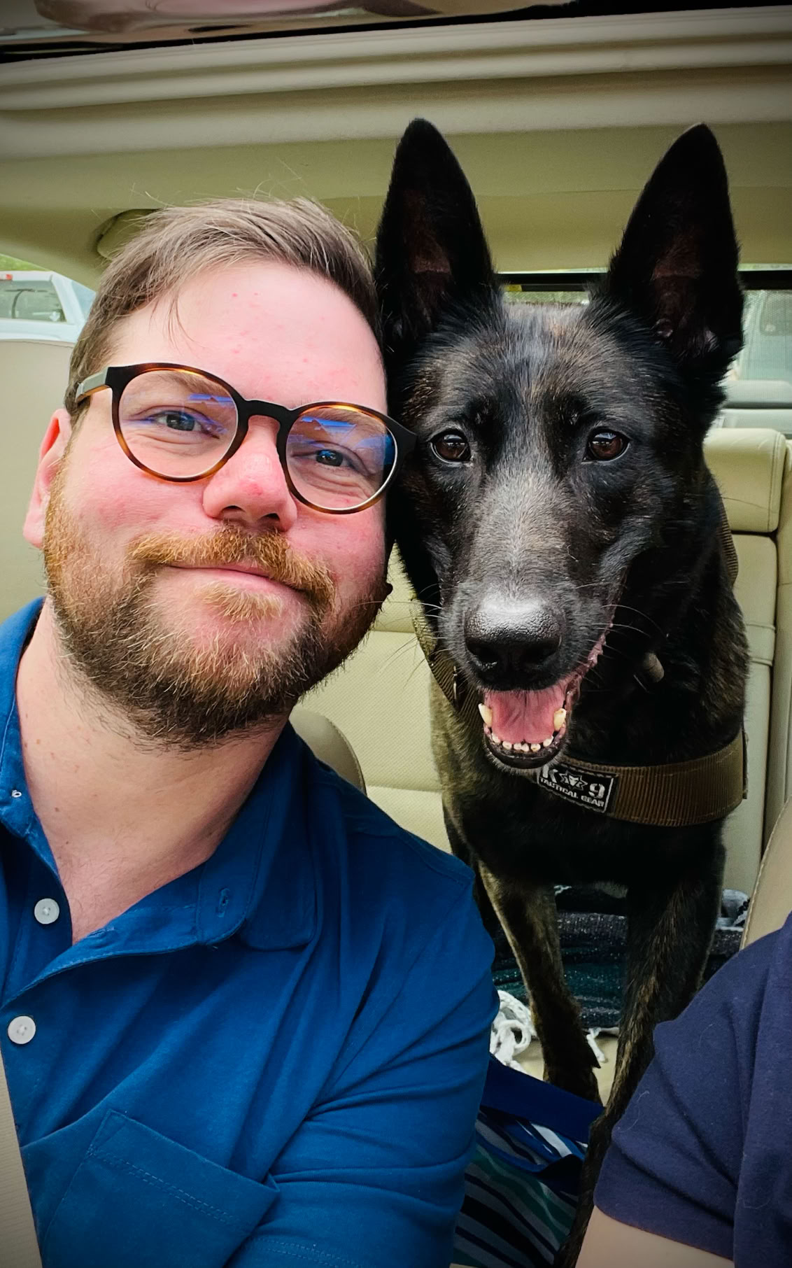 man with glass and beard in a blue shirt with dutch shepard malinois 